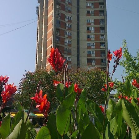 Hotel Konaciste Trstenik מראה חיצוני תמונה