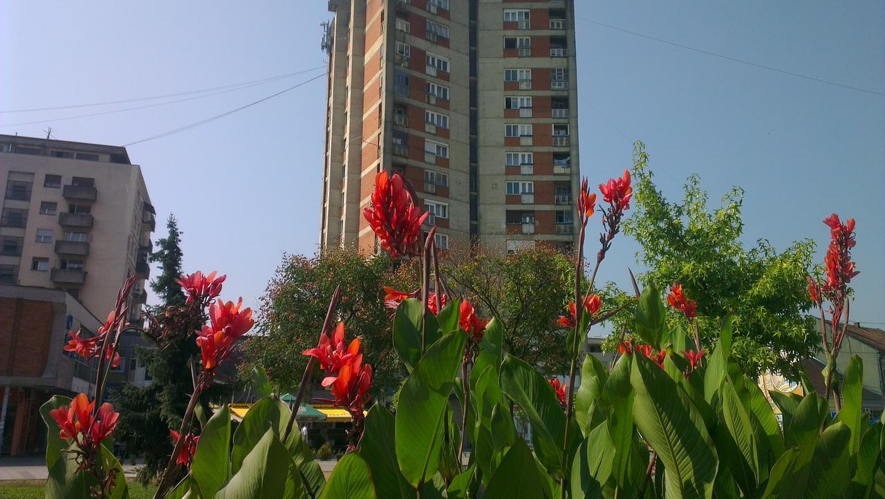 Hotel Konaciste Trstenik מראה חיצוני תמונה